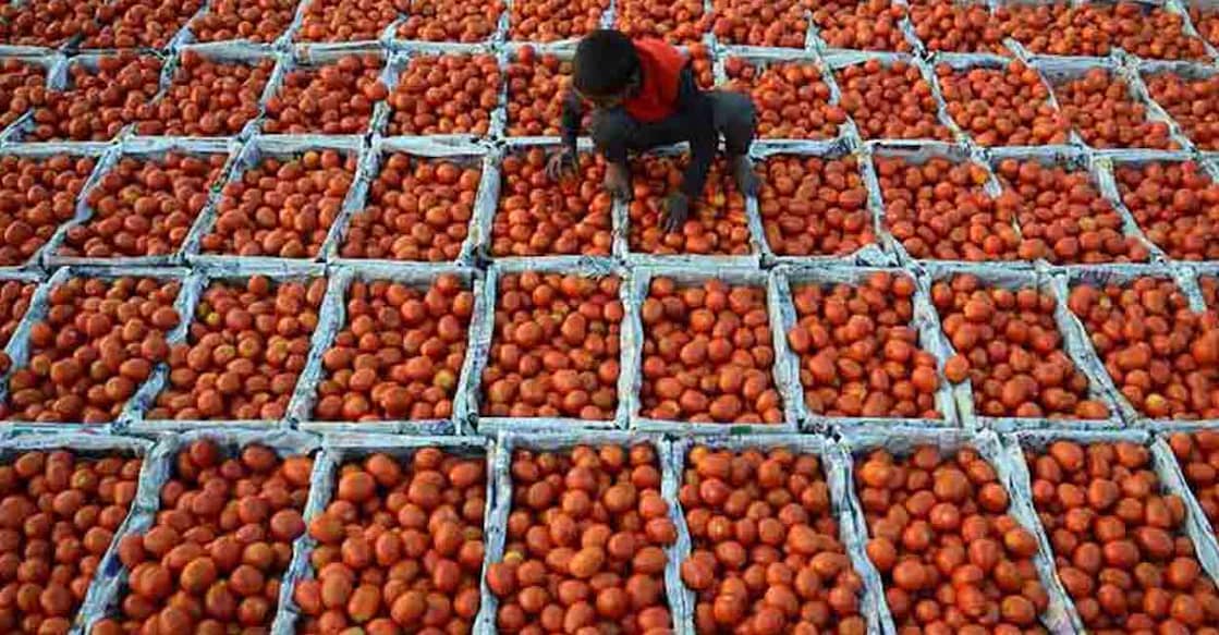 tomato Since its launch in July 2020, AIF has been instrumental in supporting creation of 6,623 warehouses, 688 cold stores and 21 silos projects. Photo: AFP